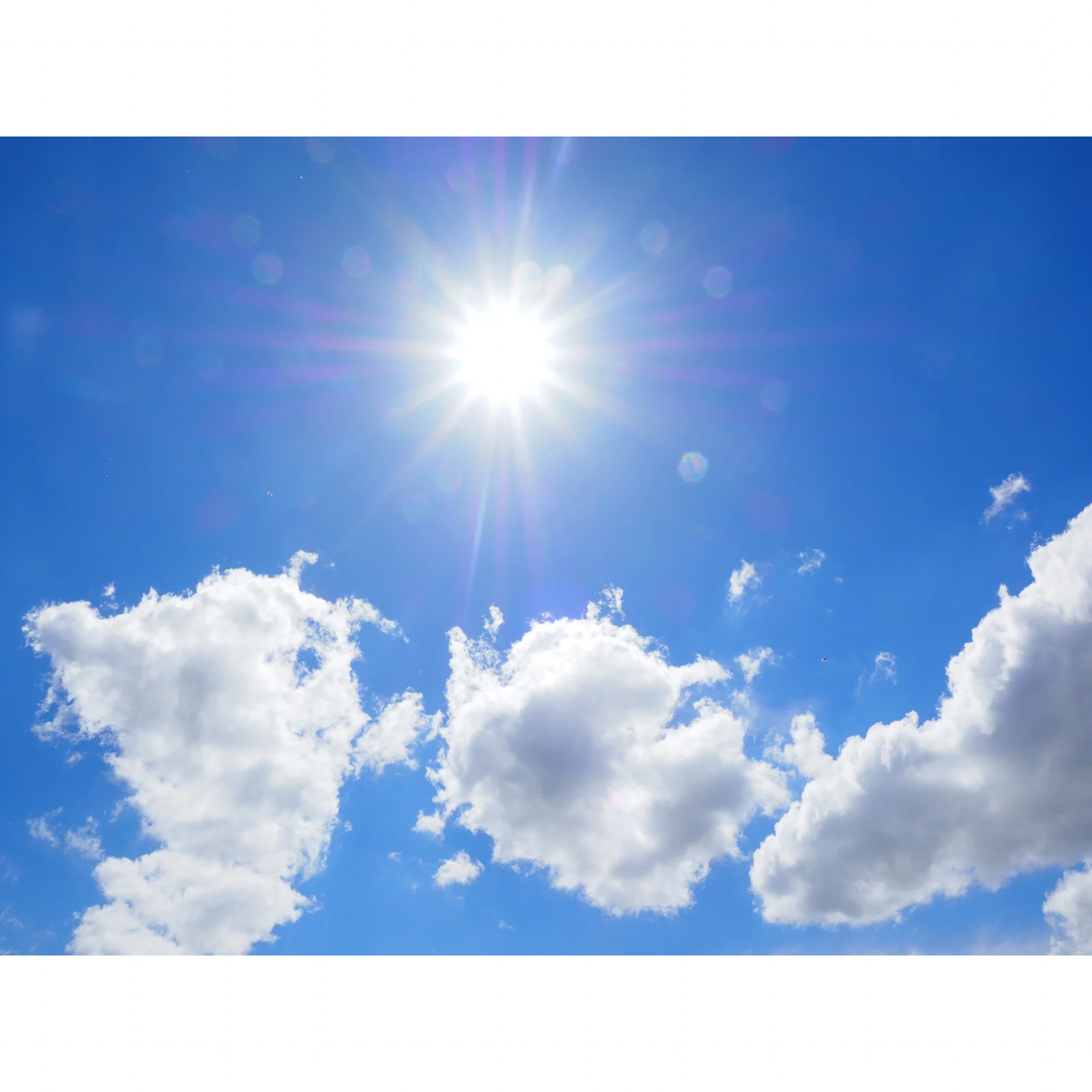 Vitamin D in der veganen Ernährung Vitamin D in der veganen Ernährung