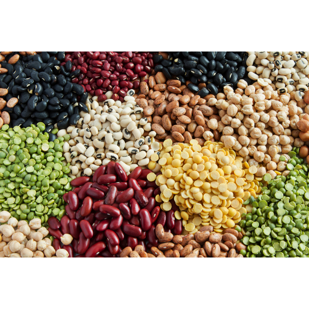 potenziell kritische Nährstoffe in der veganen Ernährung Hülsenfrüchte